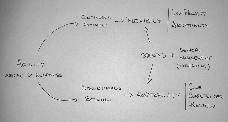 Adaptabilidade, flexibilidade e agilidade organizacional – Conceitos e Reflexões